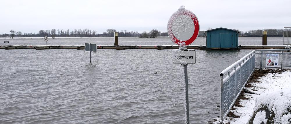 Elbehochwasser in Wittenberge/ Prignitz, 5. Januar 2024,