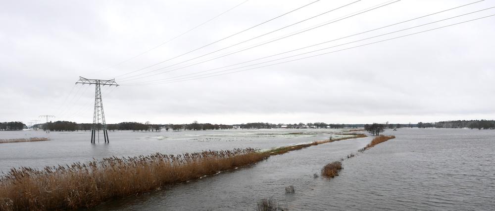 Erst im Januar dieses Jahres war es an Elbe und Stepenitz in der Prignitz zu großen Überschwemmungen gekommen.