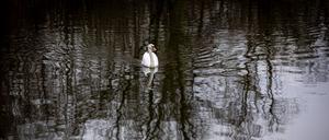 25.12.2023, Niedersachsen, Osnabrück: Ein Schwan schwimmt bei trübem Wetter im Wasser eines Sees am Gut Sutthausen. Der Deutsche Wetterdienst (DWD) warnt weiterhin vor Dauerregen in mehreren Regionen. Die Unwetterwarnung galt für Teile von Niedersachsen, Nordrhein-Westfalen, Rheinland-Pfalz, Hessen und Sachsen. An Bächen und Flüssen sei Hochwasser zu erwarten. Foto: Moritz Frankenberg/dpa +++ dpa-Bildfunk +++
