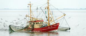 Erhalten die Fischer weniger Geld für den Umbau der Flotten?