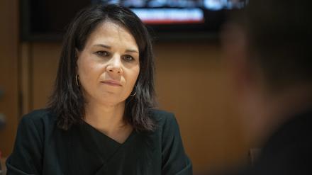 Die Außenministerin in Israel.