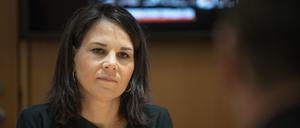 Die Außenministerin in Israel.