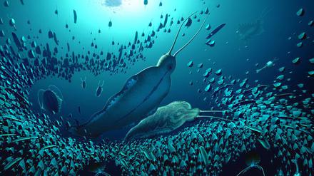 Die künstlerische Darstellung zeigt zwei Exemplare des Wurmes Timorebestia koprii. Im Norden Grönlands haben Wissenschaftler mehr als 500 Millionen Jahre alte Fossilien eines Wurms entdeckt. 