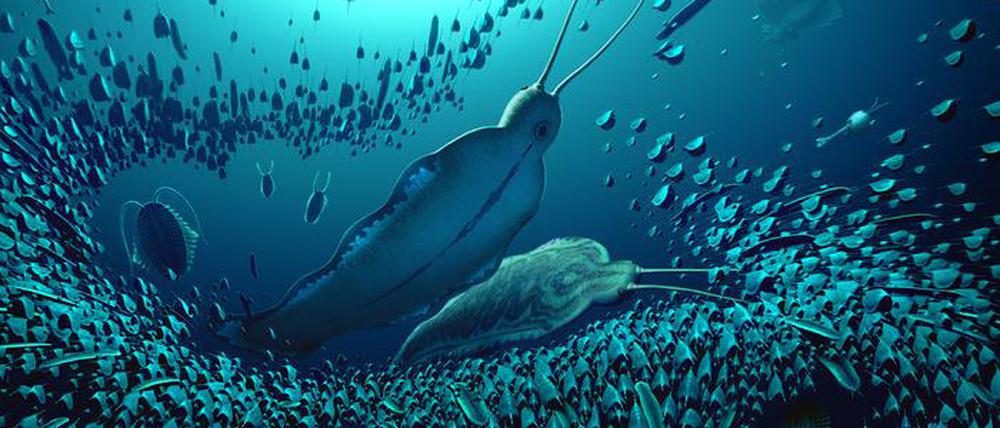 Die künstlerische Darstellung zeigt zwei Exemplare des Wurmes Timorebestia koprii. Im Norden Grönlands haben Wissenschaftler mehr als 500 Millionen Jahre alte Fossilien eines Wurms entdeckt. 