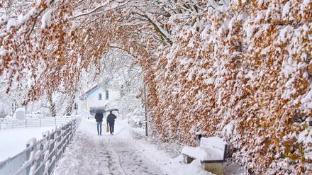 Ein Zusammenbruch des Polarwirbels könnte Kaltluft vor allem über USA und Kanada weit nach Süden treiben – unter bestimmten Bedingungen auch nach Europa. Für einen milden Winter braucht es einen kräftigen Wirbel, für Schnee, Kälte und richtiges Winterwetter eher einen gestörten oder schwachen.