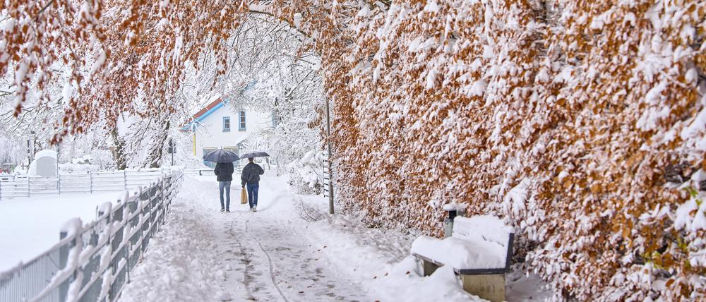 Ein Zusammenbruch des Polarwirbels könnte Kaltluft vor allem über USA und Kanada weit nach Süden treiben – unter bestimmten Bedingungen auch nach Europa. Für einen milden Winter braucht es einen kräftigen Wirbel, für Schnee, Kälte und richtiges Winterwetter eher einen gestörten oder schwachen. 