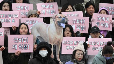 Auch Südkorea stellt den Handel mit Hundefleisch nun unter Verbot.