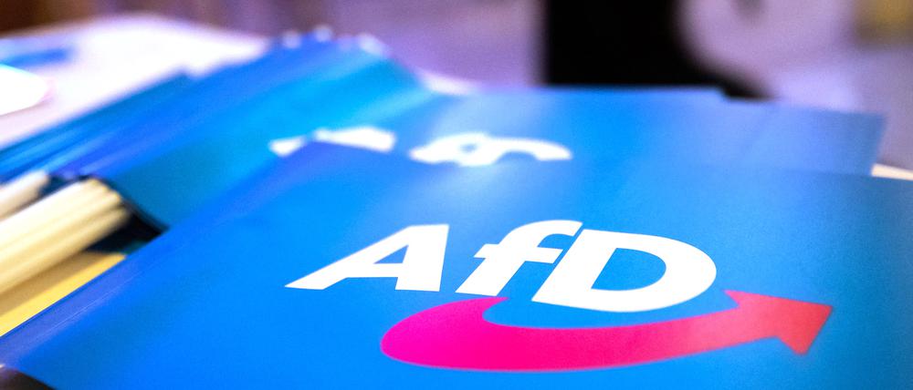 Fähnchen der AfD.