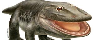 Die undatierte, vom Museum für Naturkunde Berlin am 8. Januar 2024 herausgegebene, Rekonstruktion zeigt den Ursaurier Stenokranio boldi.