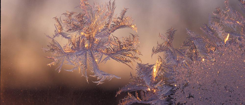 Bis zum Wochenende bleibt es eisig in Deutschland.