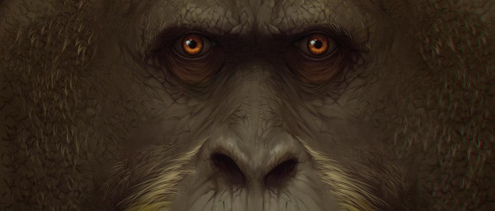 Künstlerische Darstellung des Riesenaffen. Mit einer geschätzten Höhe von drei Metern und einem Gewicht bis 300 Kilogramm war Gigantopithecus blacki der größte Menschenaffe, der jemals über die Erde stampfte.