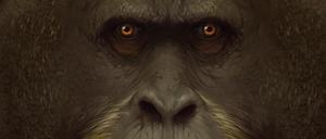 Künstlerische Darstellung des Riesenaffen. Mit einer geschätzten Höhe von drei Metern und einem Gewicht bis 300 Kilogramm war Gigantopithecus blacki der größte Menschenaffe, der jemals über die Erde stampfte. 