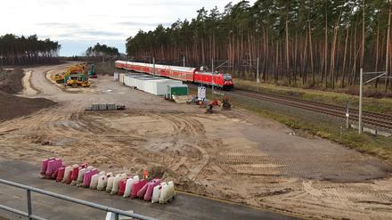 Die gerodete Westseite der künftigen Anschlussstelle „Hubertus“ an der A117 zwischen Berlin-Treptow und Schönefeld.