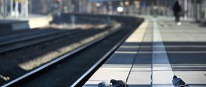11.01.2024, Nordrhein-Westfalen, Essen: Tauben sitzen auf dem Bahnsteig 5 im Hauptbahnhof. Die Gewerkschaft Deutscher Lokomotivführer (GDL) hat zum ersten mehrtägigen Streik im aktuellen Tarifkonflikt mit der Deutschen Bahn und anderen Unternehmen aufgerufen. Foto: Federico Gambarini/dpa +++ dpa-Bildfunk +++