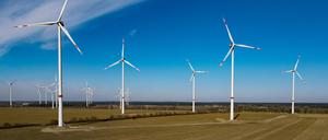 Der Windpark «Albertshof» der Berliner Stadtwerke (Luftaufnahme mit einer Drohne). 