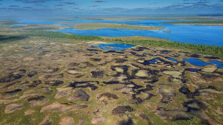 Moor mit Schlenken und trockeneren Baendern am Saeytsjaervi im finnischen Lappland.