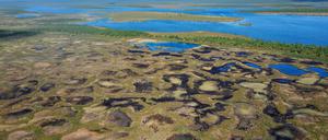 Moor mit Schlenken und trockeneren Baendern am Saeytsjaervi im finnischen Lappland.
