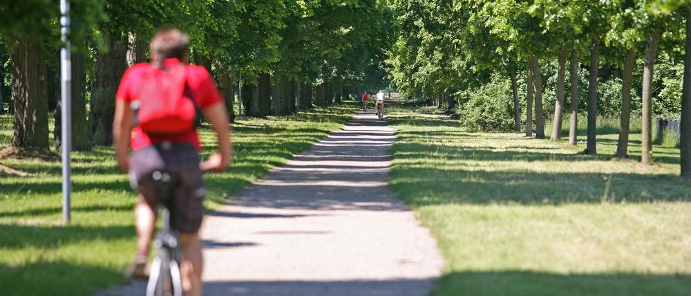 Fahrradweg zwischen Neuem Palais und Golm.