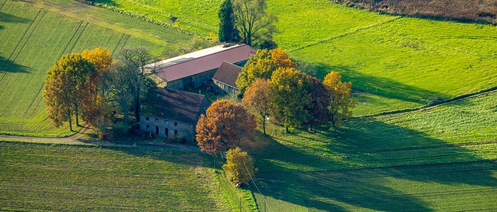 Kleine Bauernhöfe haben es schwer. Der Trend in der Landwirtschaft geht zu weniger Bauernhöfen mit immer mehr Fläche.