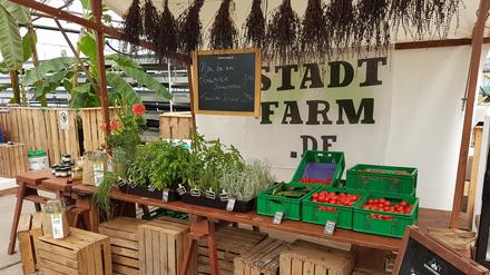 Die Stadtfarm im Herzberge Park in Berlin-Lichtenberg.