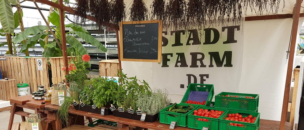 Die Stadtfarm im Herzberge Park in Berlin-Lichtenberg. 