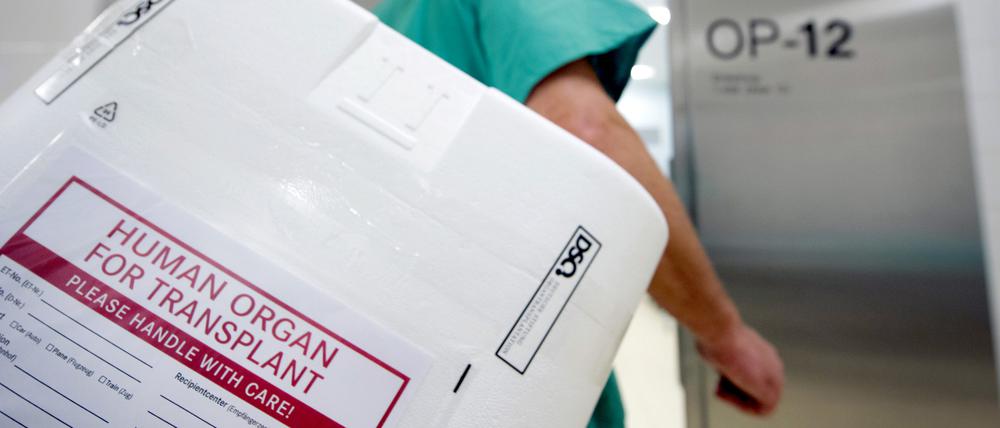 Ein Styropor-Behälter zum Transport von zur Transplantation vorgesehenen Organen wird am Eingang eines OP-Saales vorbeigetragen. (Symbolbild)