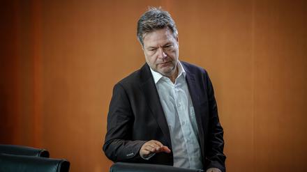 Vize-Kanzler und Wirtschaftsminister Robert Habeck verteidigt die Kürzungen der Agradiesel-Subvention, gegen welche die Bauern protestieren.