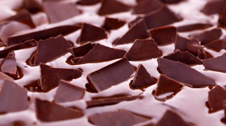 Bean to Bar-Schokolade von der Manufaktur Rosa Canina