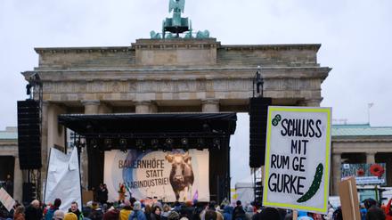 In den vergangenen Jahren versammelten sich bei der „Wir haben es satt“-Demonstration in Berlin jeweils Tausende Menschen. 
