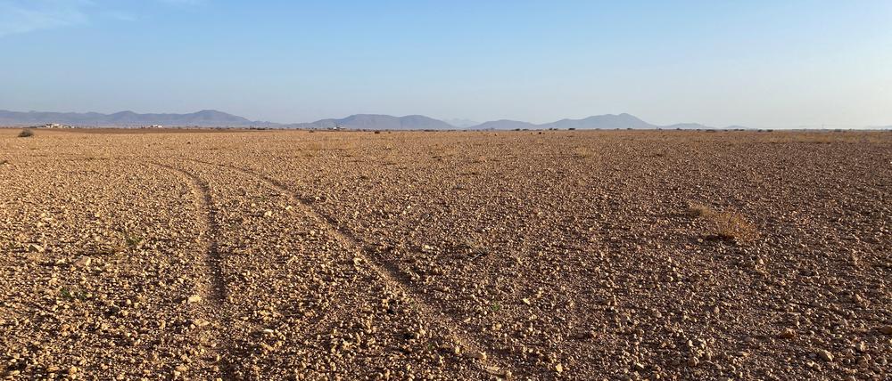 Ein ausgetrocknetes Feld nahe Marrakech, Marokko.