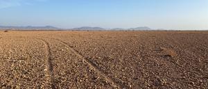 Ein ausgetrocknetes Feld nahe Marrakech, Marokko.