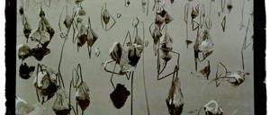 Koichiro Kuritas Platin Palladium Print „Fall“, das 1991 in Mystic (Connecticut) entstanden ist.