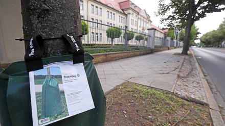 Wassersack in der Heinrich-Mann-Allee 2020.