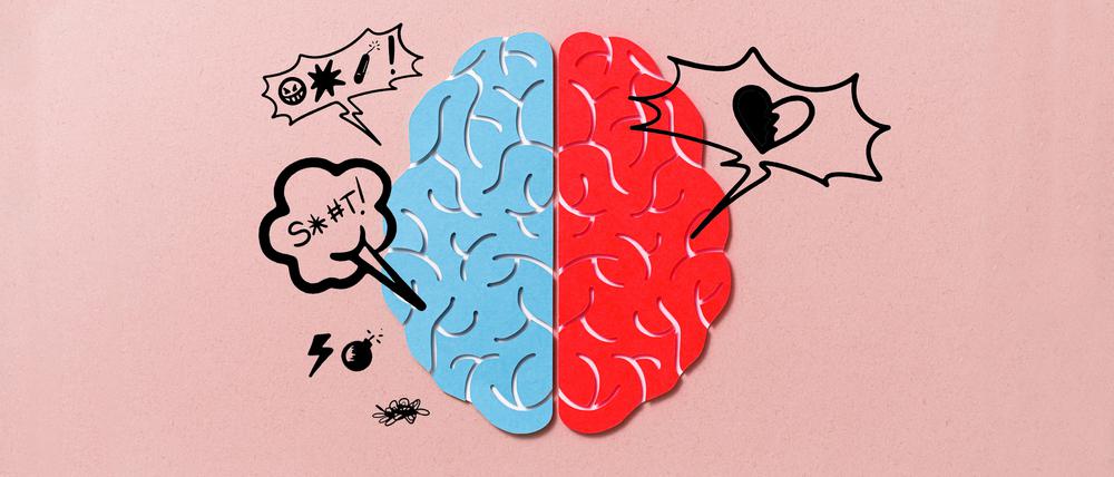 Hass, Ablehnung und Gewalt entsteht im Gehirn – und dort müssen auch Maßnahmen ansetzen, der zunehmenden Polarisierung in der Gesellschaft zu begegnen (Illustration).