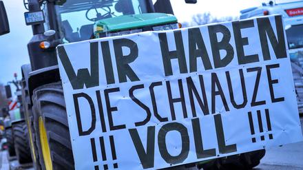 Eindrücke rund um die Großdemonstration der Bauernproteste am Brandenburger Tor und auf der Strasse des 17. Juni.