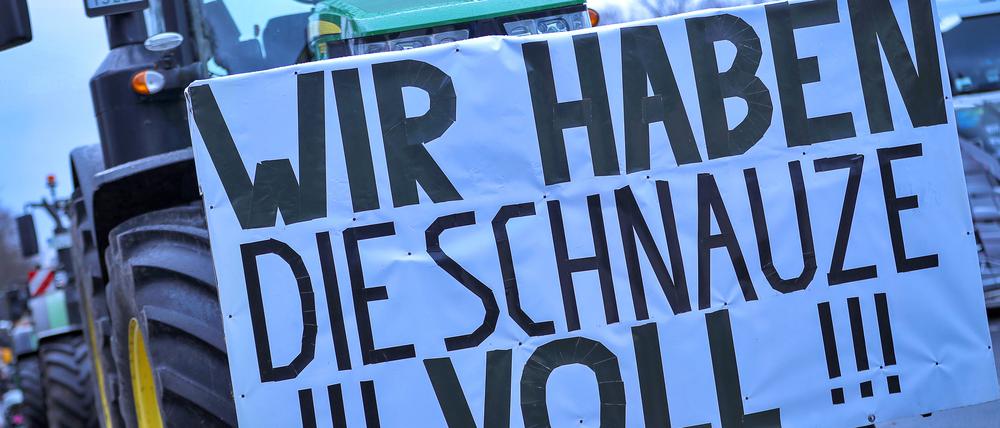 Eindrücke rund um die Großdemonstration der Bauernproteste am Brandenburger Tor und auf der Strasse des 17. Juni.