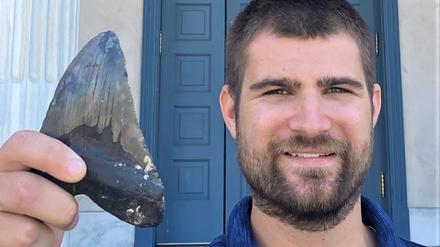 Zähne des Riesenhais Megalodon gibt es einige. Wie das ganze Tier aussah, versucht der Biologe Phillip Sternes herauszufinden.  