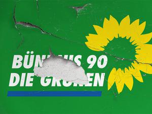 In Mecklenburg-Vorpommern streiten sich die Grünen. 