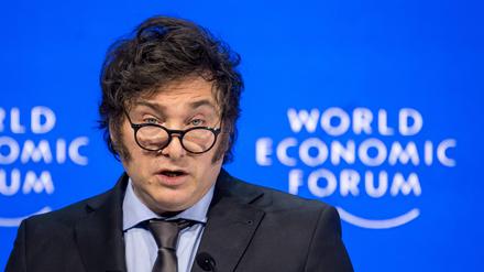Javier Milei in Davos.