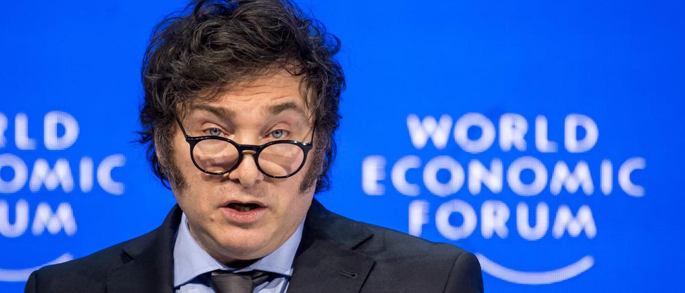Umstritten: Argentiniens neuer Präsident Javier Milei.