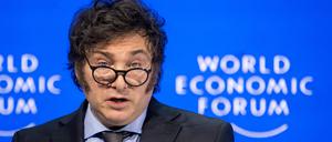 Umstritten: Argentiniens neuer Präsident Javier Milei.