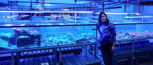 Meeresbiologin Alexandra Aponte in einer Korallenfarm