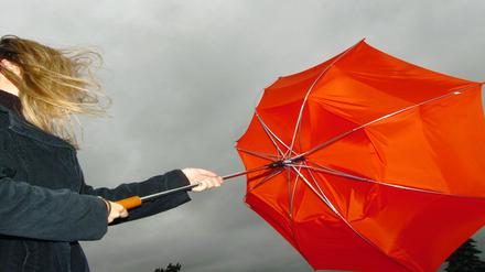 Eine junge Frau hält am Donnerstag (23.09.2004) auf dem Bogenberg in Niederbayern bei starkem Wind ihren Regenschirm fest. Ein Orkan fegt seit Donnerstag über Bayern hinweg. Auf dem Wendelstein (1838 Meter) nahe Rosenheim wurden bis zu 156 Stundenkilometer schnelle Böen gemessen. «Das ist Orkanstärke», erläuterte ein Meteorologe vom Wetterdienst Meteomedia. Im Flachland bliesen die stürmischen Winde mit 80 Stundenkilometern. Am Alpenrand regnete es ergiebig. Zwar lässt der Sturm nach, doch bleibt es kalt und regnerisch. Foto: Armin Weigel dpa/lby