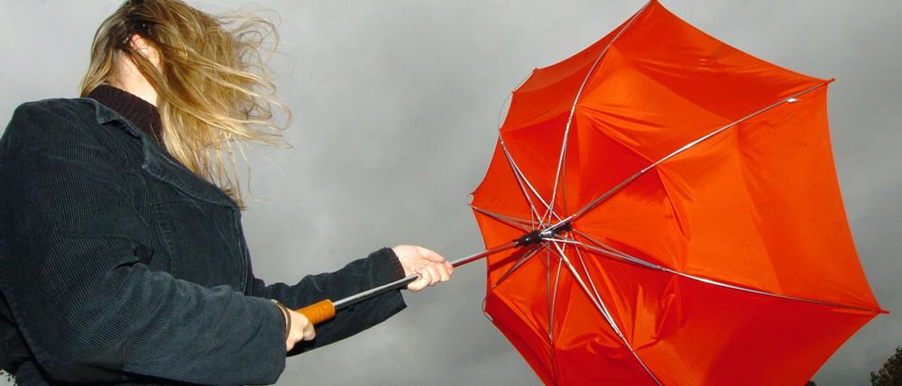 Eine junge Frau hält am Donnerstag (23.09.2004) auf dem Bogenberg in Niederbayern bei starkem Wind ihren Regenschirm fest. Ein Orkan fegt seit Donnerstag über Bayern hinweg. Auf dem Wendelstein (1838 Meter) nahe Rosenheim wurden bis zu 156 Stundenkilometer schnelle Böen gemessen. «Das ist Orkanstärke», erläuterte ein Meteorologe vom Wetterdienst Meteomedia. Im Flachland bliesen die stürmischen Winde mit 80 Stundenkilometern. Am Alpenrand regnete es ergiebig. Zwar lässt der Sturm nach, doch bleibt es kalt und regnerisch. Foto: Armin Weigel dpa/lby