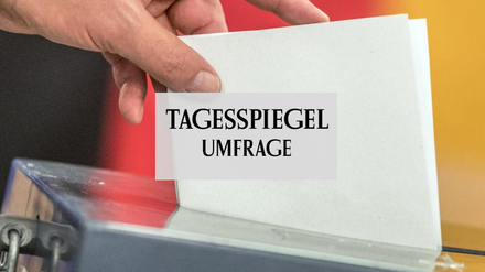 Umfrage Bundestagswahl