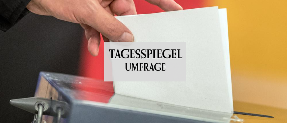 Umfrage Bundestagswahl