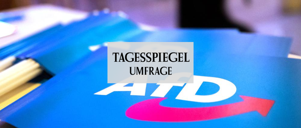 Umfrage AfD-Verbotsverfahren