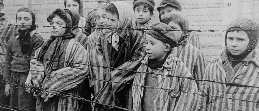 Die Kinder von Auschwitz.