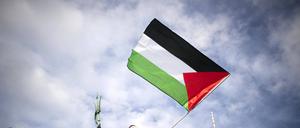 Palestine Solidarity Demonstration Deu, Deutschland, Germany, Berlin.