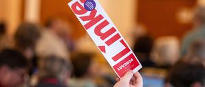 Die Brandenburger Linke kämpft um den Wiedereinzug in den märkischen Landtag. Nun soll es die ehemalige Fraktionschefin Kerstin Kaiser reißen.